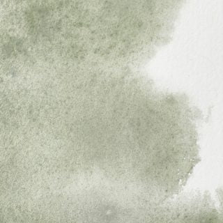 Winsor & Newton Artists' Watercolour 5ml Davy's Grey