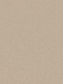 Art Spectrum Colourfix Original A3 Pkt 10 Soft Umber