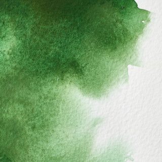 Winsor & Newton Artists' Watercolour 5ml Hooker's Green