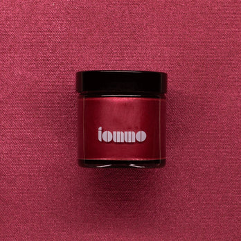 Iommo Luxe Pigment Acrylic 250ml 310 Burgundy