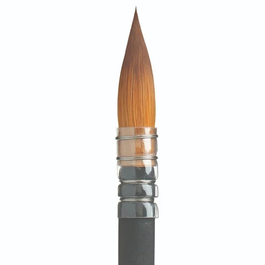 Princeton Aqua Elite Quill Size 6