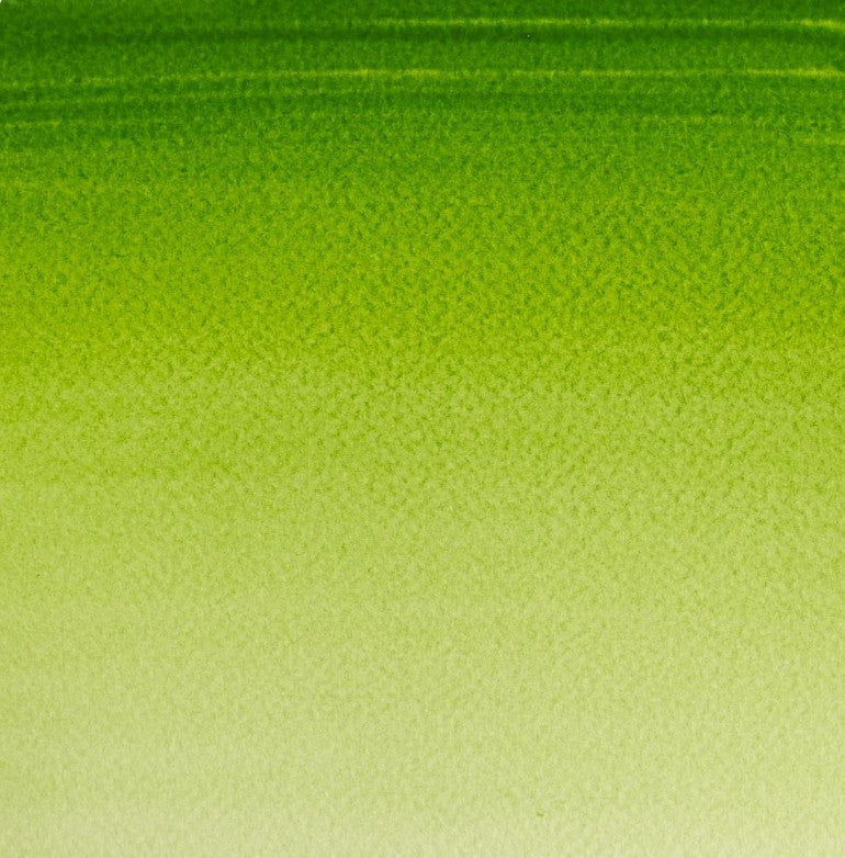 Winsor & Newton Cotman W/C 8ml Sap Green