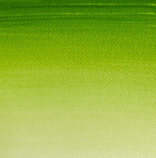 Winsor & Newton Cotman W/C 8ml Sap Green