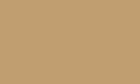 Caran d'Ache Museum Aquarelle Pencil 736 Brown Olive 50% - theartshop.com.au