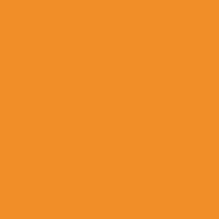 Caran d'Ache Neocolor I 030 Orange - theartshop.com.au