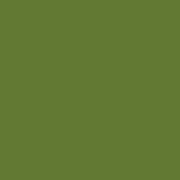 Caran d'Ache Neocolor II 212 Chromium Oxide Green - theartshop.com.au