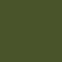 Caran d'Ache Neopastel 019 Olive Black - theartshop.com.au