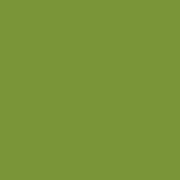 Caran d'Ache Neopastel 225 Moss Green - theartshop.com.au