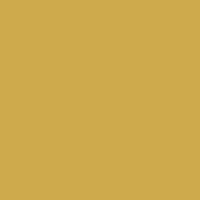 Caran d'Ache Neopastel 499 Gold - theartshop.com.au