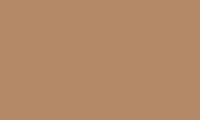 Caran d'Ache Pablo Pencil 043 Brownish Orange - theartshop.com.au
