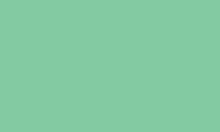 Caran d'Ache Pablo Pencil 211 Jade Green - theartshop.com.au