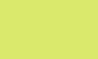 Caran d'Ache Pablo Pencil 221 Light Green - theartshop.com.au