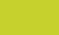 Caran d'Ache Pablo Pencil 230 Yellow Green - theartshop.com.au