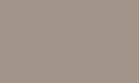 Caran d'Ache Pablo Pencil 405 Cocoa - theartshop.com.au