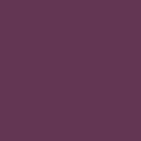 Caran d'Ache Pastel Pencil 105 Plum - theartshop.com.au