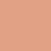 Caran d'Ache Pastel Pencil 741 Dark Flesh 5% - theartshop.com.au