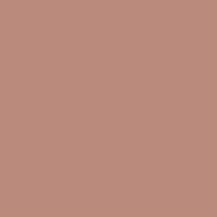 Caran d'Ache Pastel Pencil 745 Dark Flesh 40% - theartshop.com.au