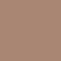 Caran d'Ache Pastel Pencil 746 Dark Flesh 50% - theartshop.com.au