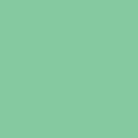 Caran d'Ache Prismalo 211 Jade Green - theartshop.com.au