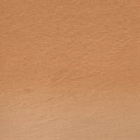 Derwent Tinted Charcoal TC02 Burnt Orange - theartshop.com.au
