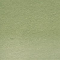 Derwent Tinted Charcoal TC15 Green Moss - theartshop.com.au