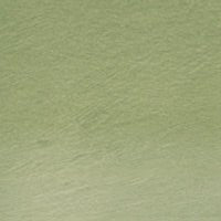 Derwent Tinted Charcoal TC15 Green Moss - theartshop.com.au