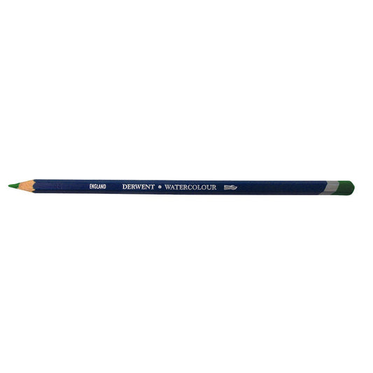 Derwent Watercolour Pencil 49 Sap Green - theartshop.com.au