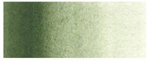 Holbein Artist Watercolour 15ml Green Grey - theartshop.com.au