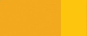 Holbein Artists' Oil 40ml 252 Cadmium Yellow - theartshop.com.au
