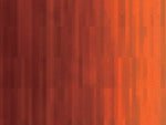 Holbein Duo Oil 40ml Burnt Sienna - theartshop.com.au