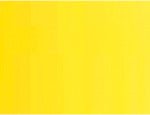 Holbein Duo Oil 40ml Cadmium Yellow Light Hue - theartshop.com.au