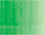Holbein Duo Oil 40ml Luminous Green - theartshop.com.au