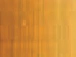 Holbein Duo Oil 40ml Raw Sienna - theartshop.com.au