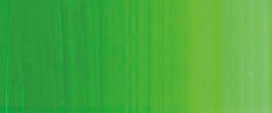 Holbein Heavy Body Acrylics 60ml 457 Middle Green - theartshop.com.au