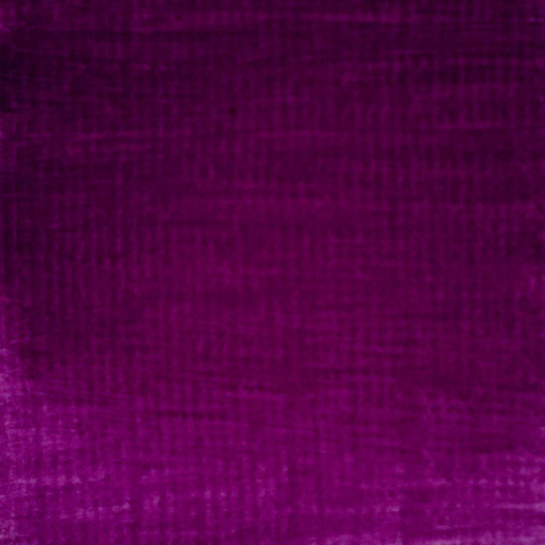 Langridge Oil Colour 110ml Neon Violet - theartshop.com.au