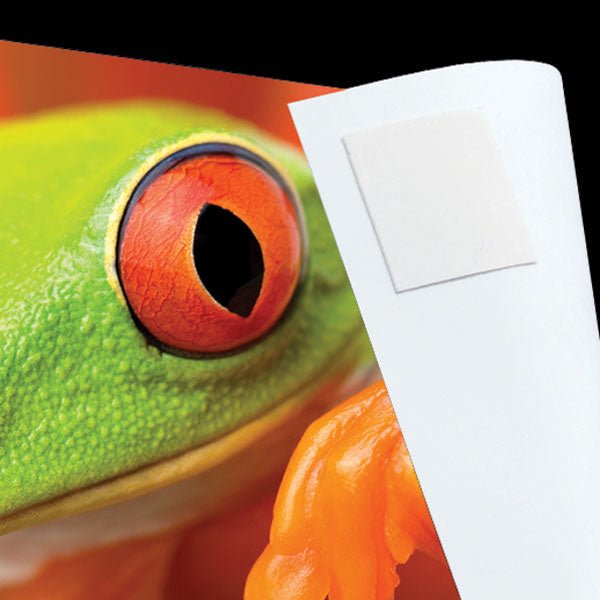 Lineco Infinity Photo Tabs Pkt 230 (L533-0031M) - theartshop.com.au