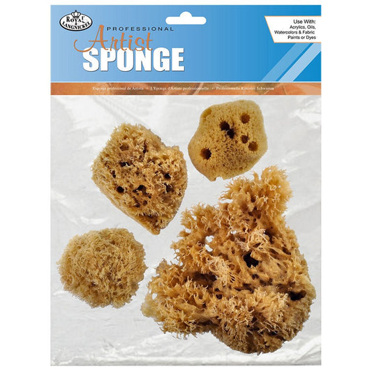 Natural Combination Sponge Set - theartshop.com.au