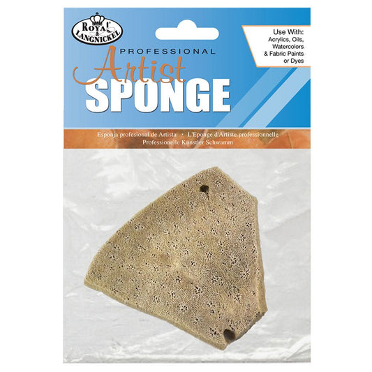 Natural Elephant Ear Sponge 3.5" - theartshop.com.au