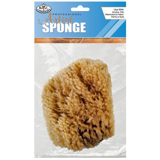 Natural Grass Sponge 5-6" - theartshop.com.au