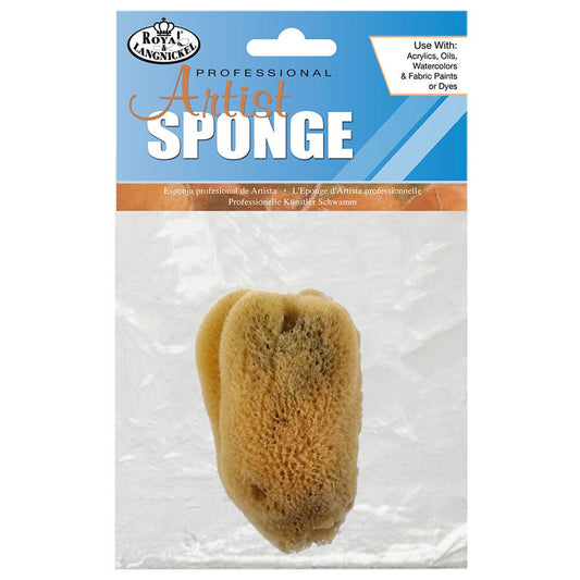 Natural Sea Silk Sponge 3" - 3.5" - theartshop.com.au