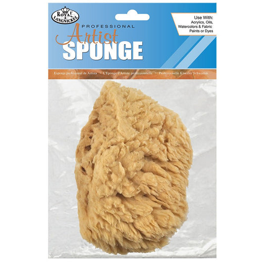 Natural Sea Wool Sponge 5" - theartshop.com.au
