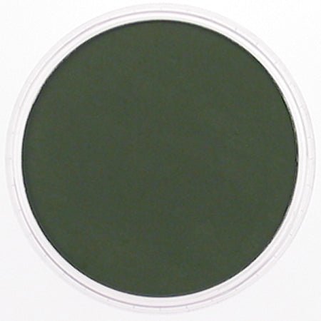 Pan Pastel Chromium Oxide Green Extra Dark 660.1 - theartshop.com.au