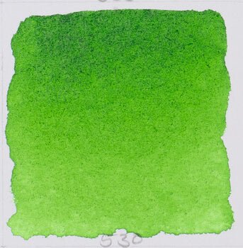 Schmincke Horadam Aquarell 15ml 530 Sap Green - theartshop.com.au
