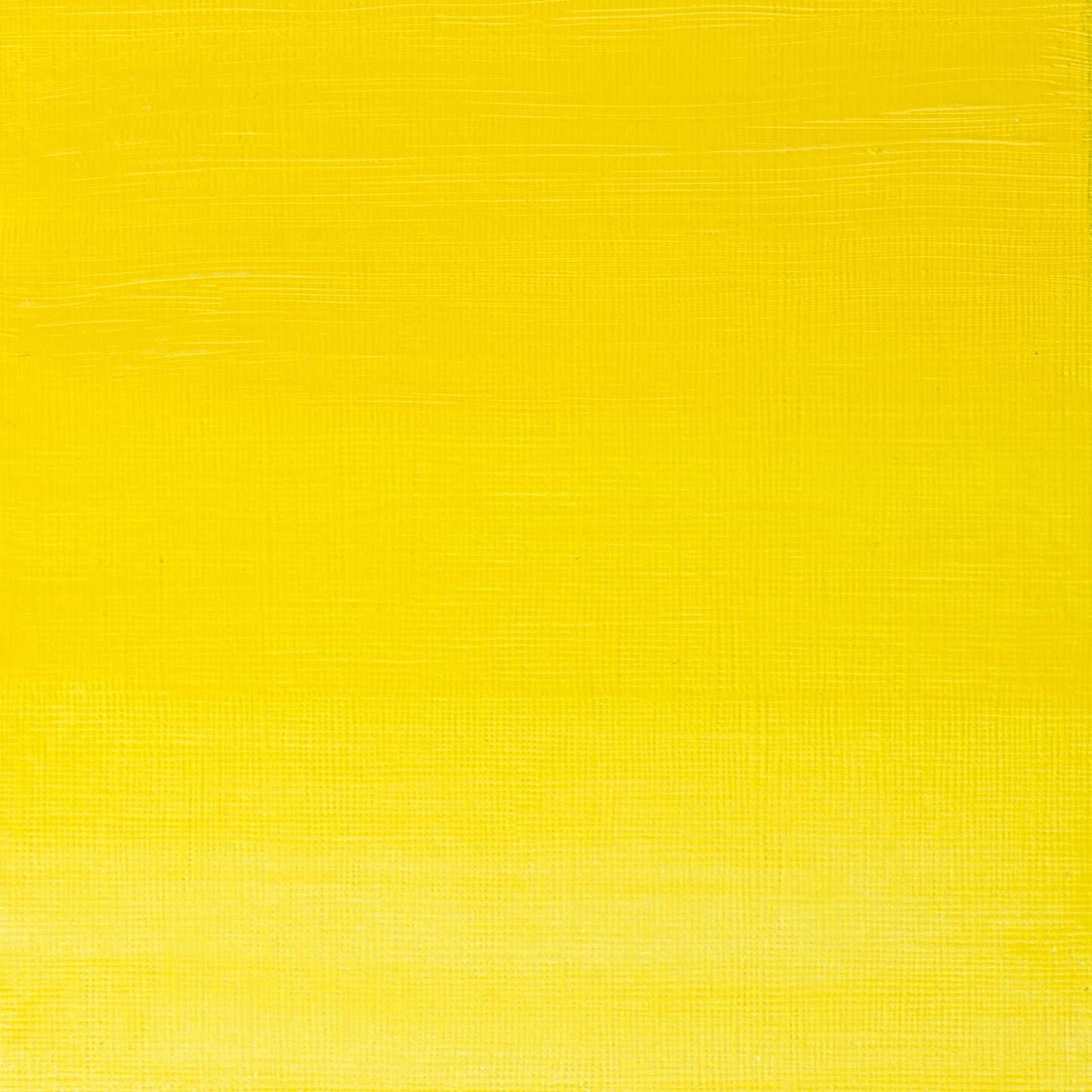 W & N Artists' Oil 200ml Winsor Lemon - theartshop.com.au