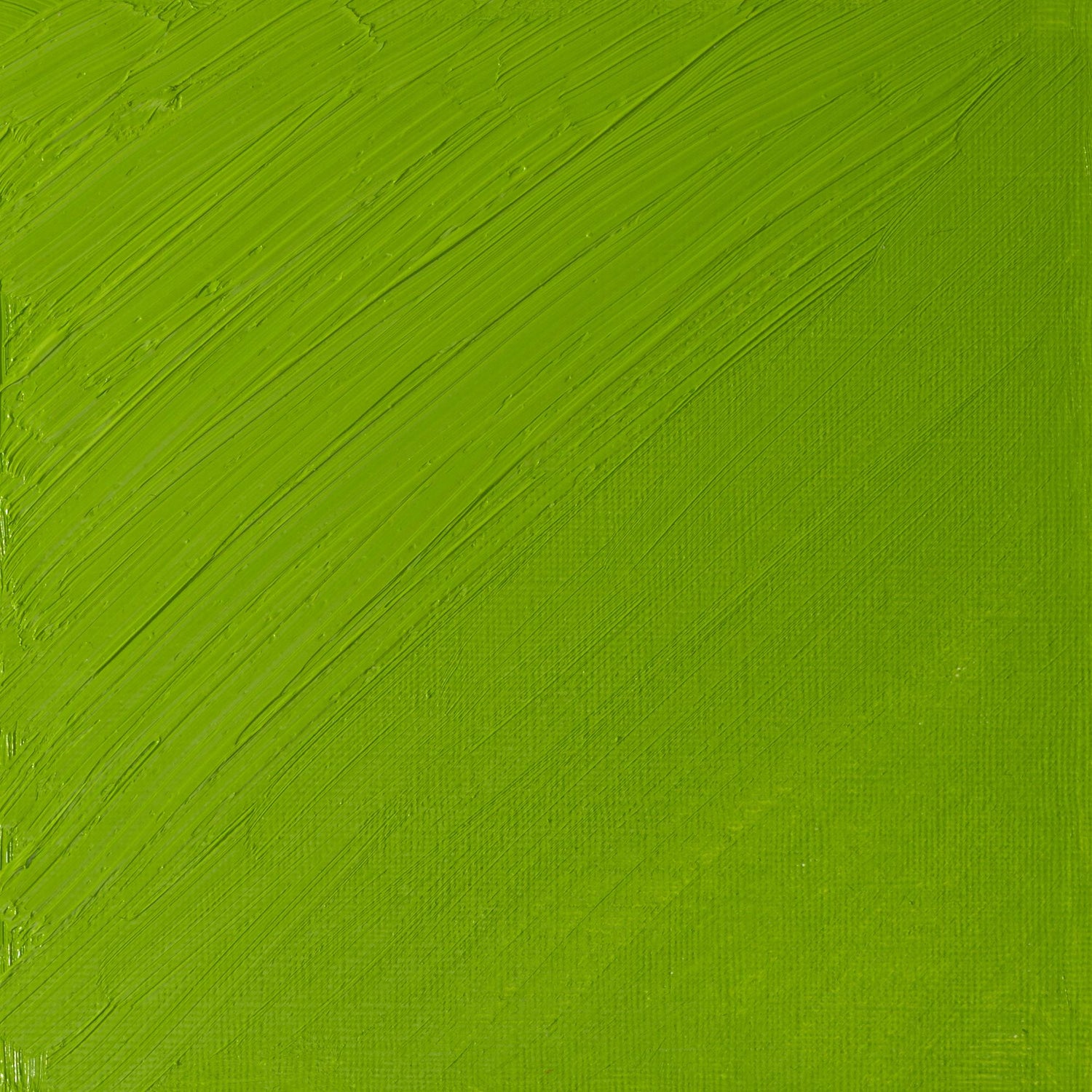 W & N Artists' Oil 37ml Cadmium Green Pale - theartshop.com.au