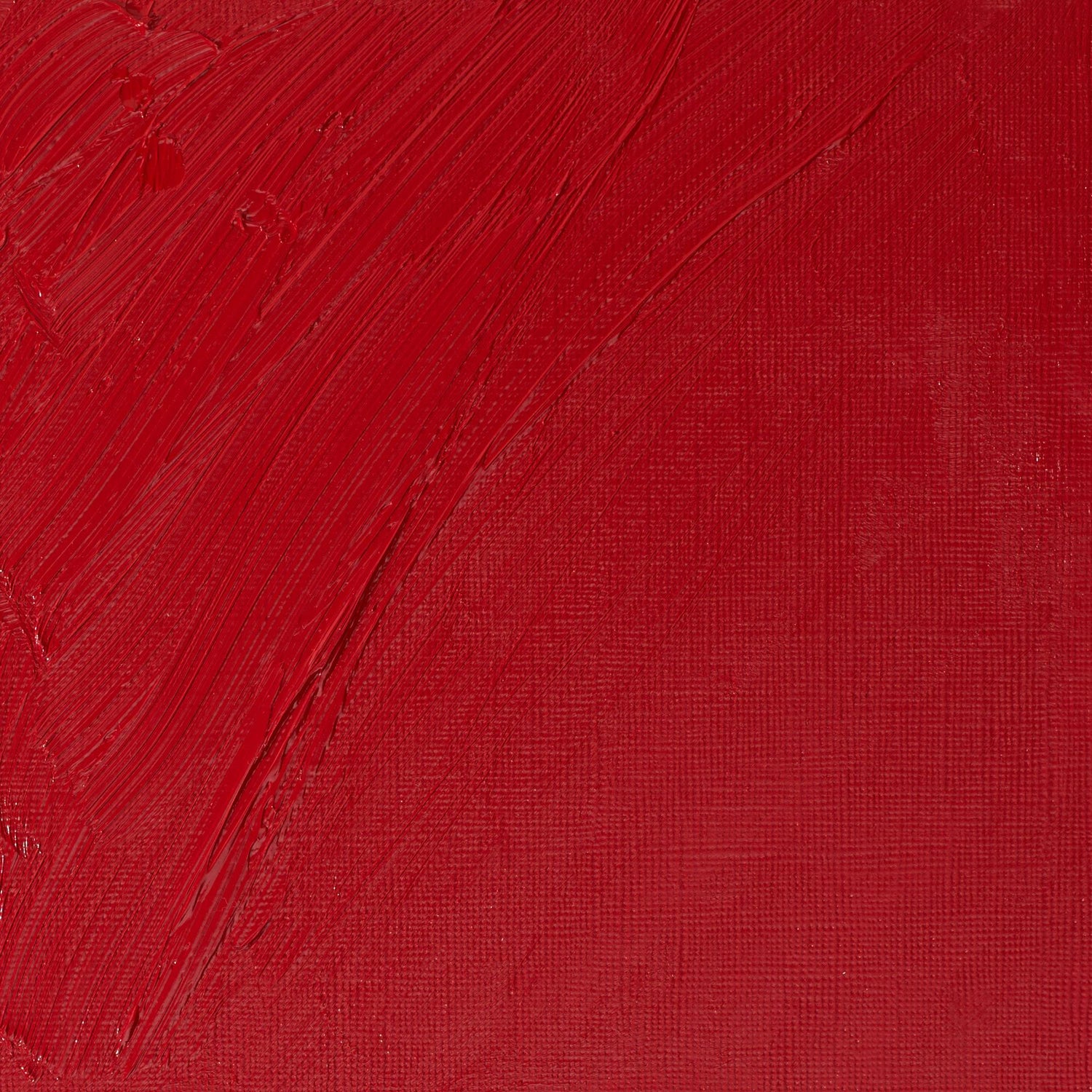 W & N Artists' Oil 37ml Cadmium Red Deep - theartshop.com.au