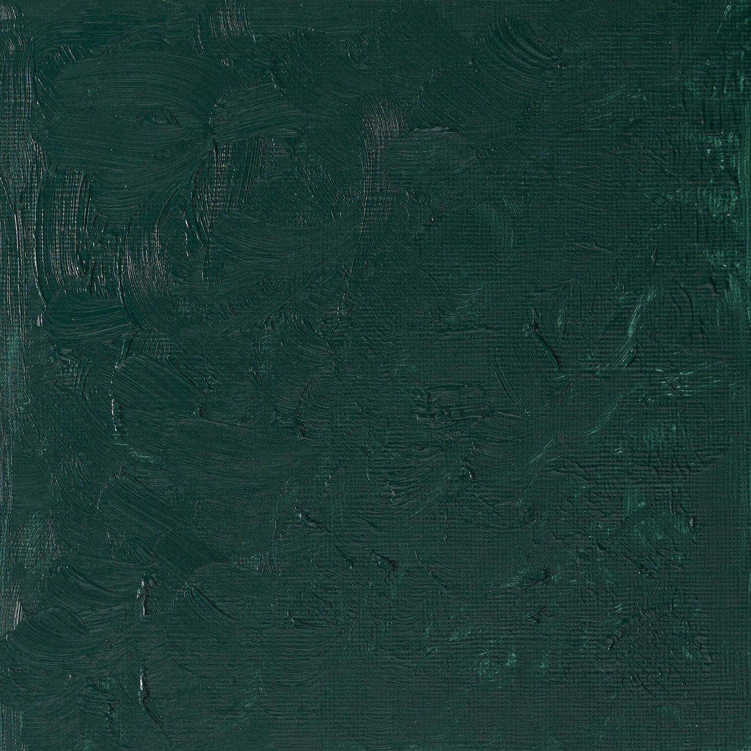 W & N Artists' Oil 37ml Cobalt Chromite Green - theartshop.com.au