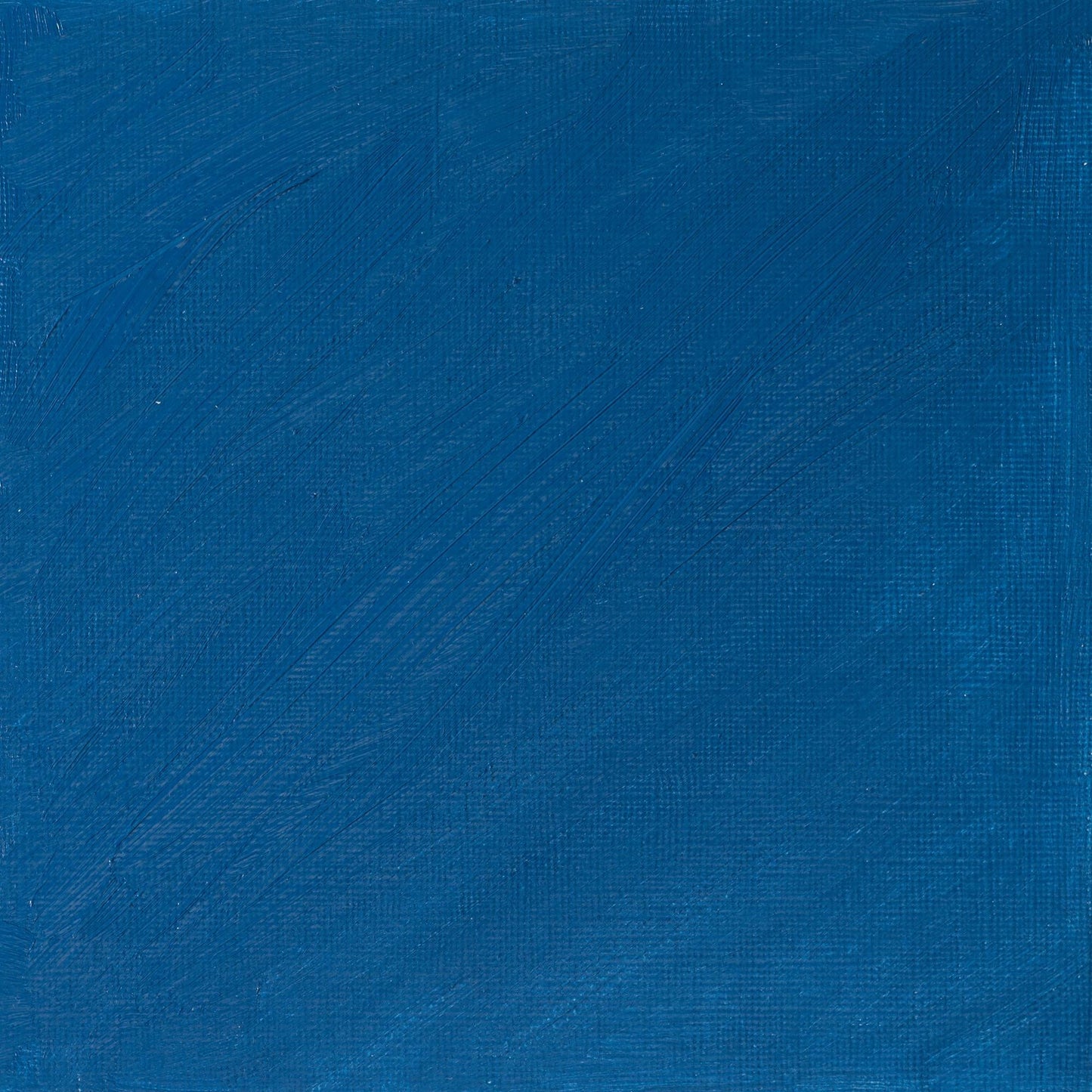 W & N Artists' Oil 37ml Cobalt Turquoise - theartshop.com.au
