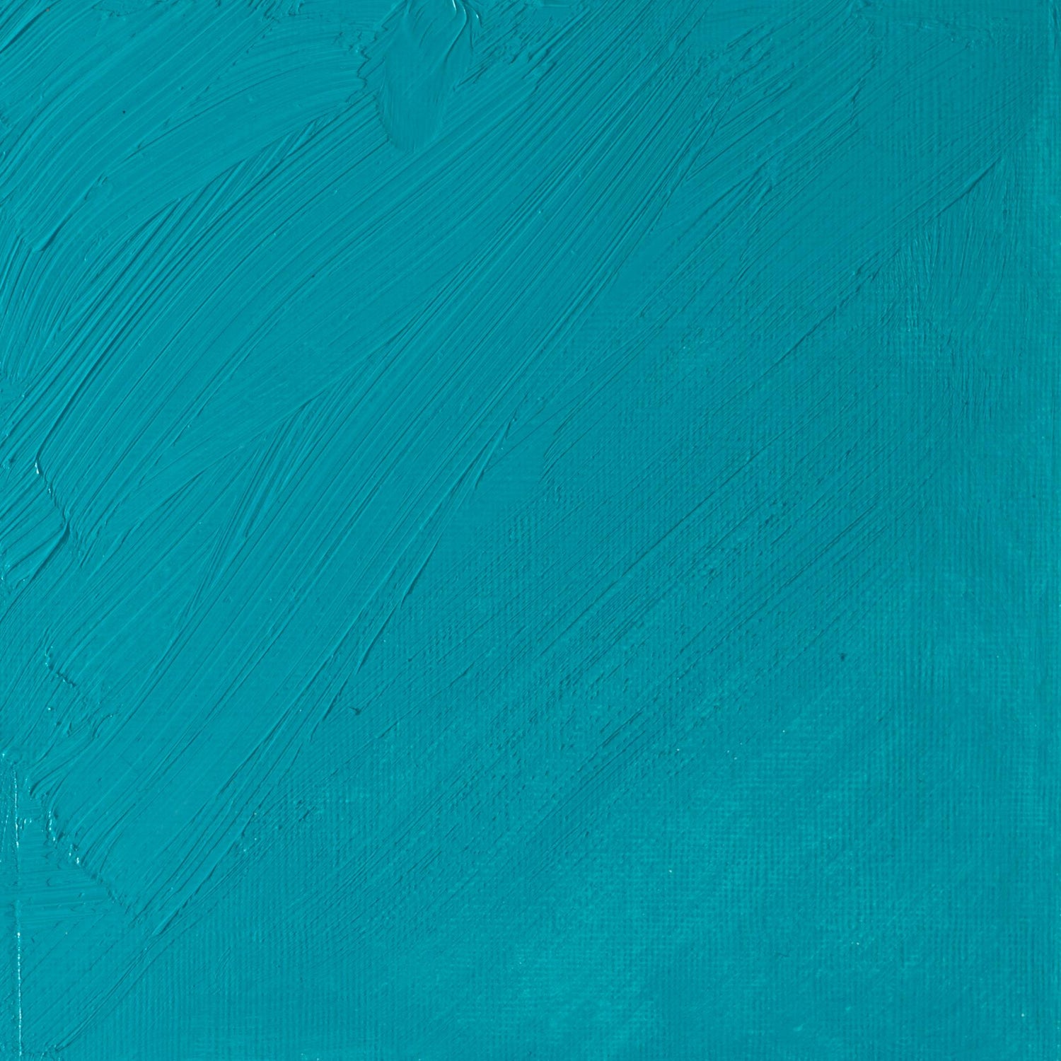 W & N Artists' Oil 37ml Cobalt Turquoise Light - theartshop.com.au