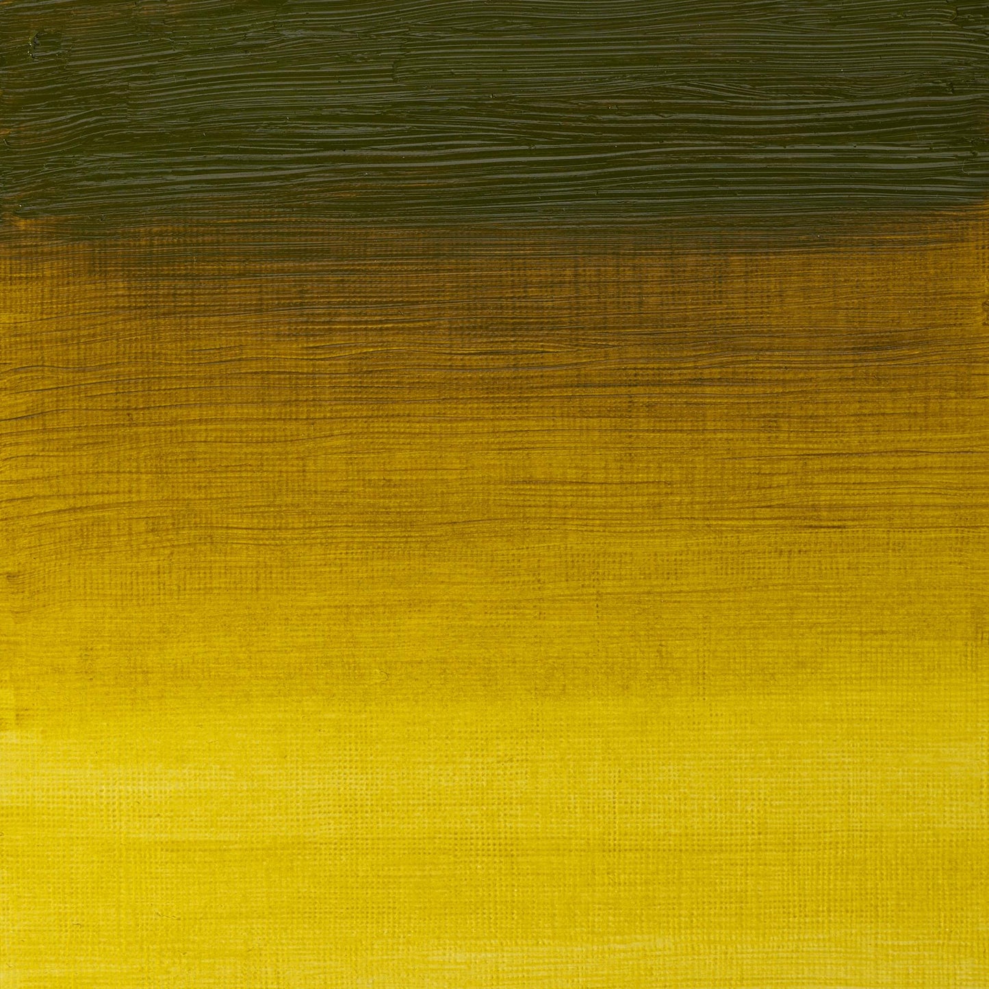 W & N Artists' Oil 37ml Green Gold - theartshop.com.au